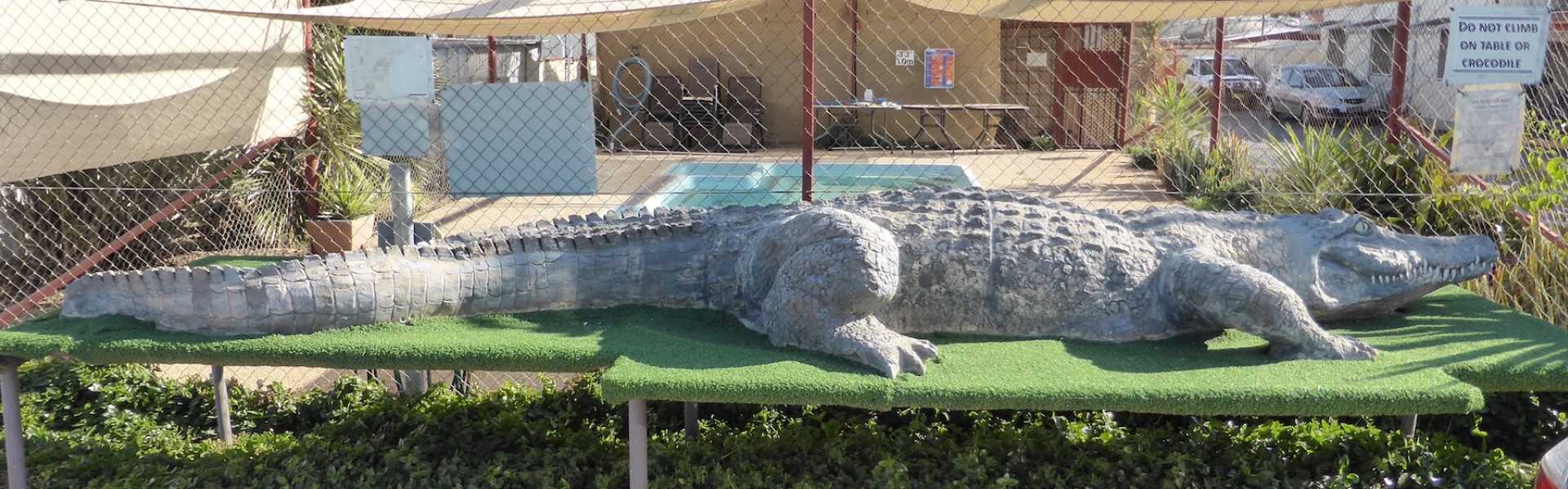 Kui Parks, Crocodile Caravan Park, Lightning Ridge, The Crocodile
