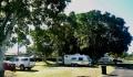 Kui Parks, Coraki Riverside Caravan Park, Park Sites